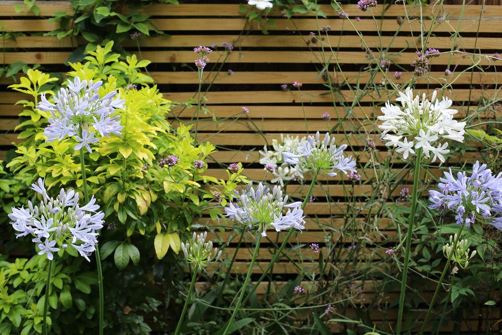 Shoreditch 1 With Garden ลอนดอน ห้อง รูปภาพ